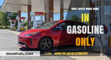 Exploring Toyota Prius Options: Gasoline-Only Models Exist?