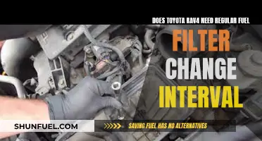 Toyota Rav4 Fuel Filter: Change Interval Necessary?