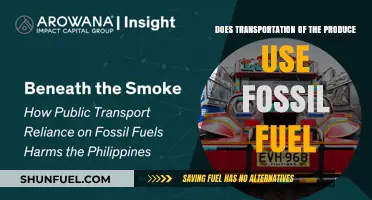 Transporting Produce: Fossil Fuel Usage and Alternatives