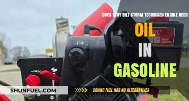 Troy-Bilt Storm Tecumseh Engine Maintenance: Oil in Gasoline?