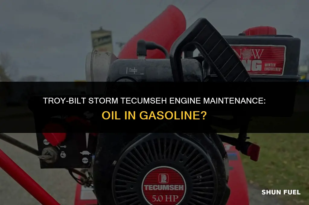 does troy bilt storm tecumseh engine need oil in gasoline