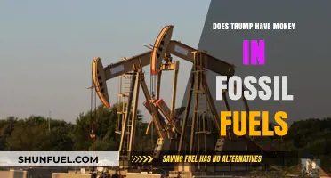 Trump's Fossil Fuel Fortune: A Conflict of Interest?