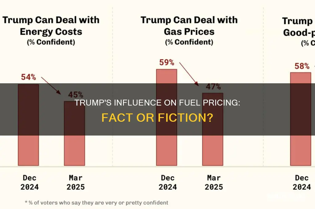 does trump set fuel pricing