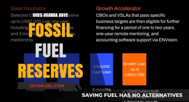 Uganda's Fossil Fuel Reserves: What's the Status?