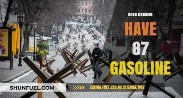 Exploring Ukraine's Gasoline Supply: Facts and Figures
