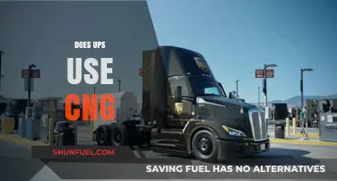 Exploring UPS's Commitment to Sustainability: The Role of CNG