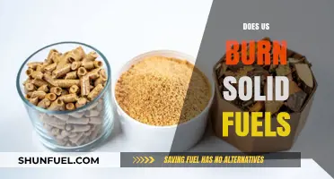 Do Americans Still Burn Solid Fuels? Exploring Energy Usage Trends