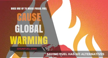 Fossil Fuels: Global Warming's Main Culprit?