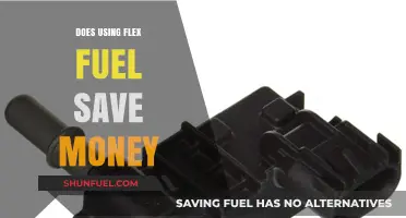 Flex Fuel Savings: Cost-Effective or Costly? A Financial Breakdown