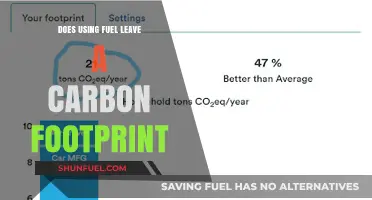 Does Fuel Usage Impact Our Carbon Footprint? Exploring the Environmental Effects
