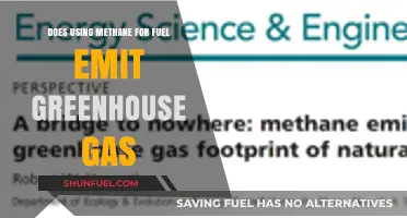 Methane as Fuel: Greenhouse Gas Emissions and Environmental Impact