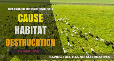 Fossil Fuels: Destroying Nature and Our Future