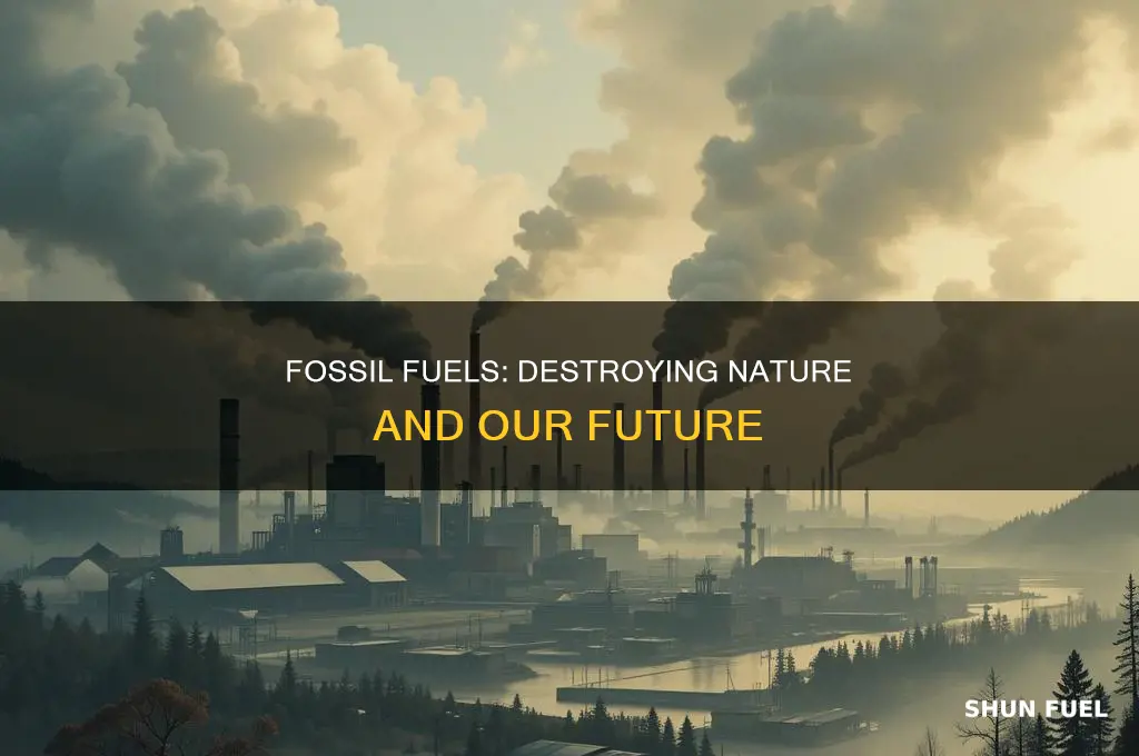 does using the effects of fossil fuels cause habitat destrucrtion