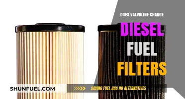 Valvoline's Diesel Fuel Filter Change Service: What You Need to Know