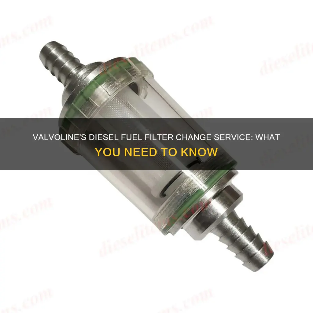 does valvoline change diesel fuel filters