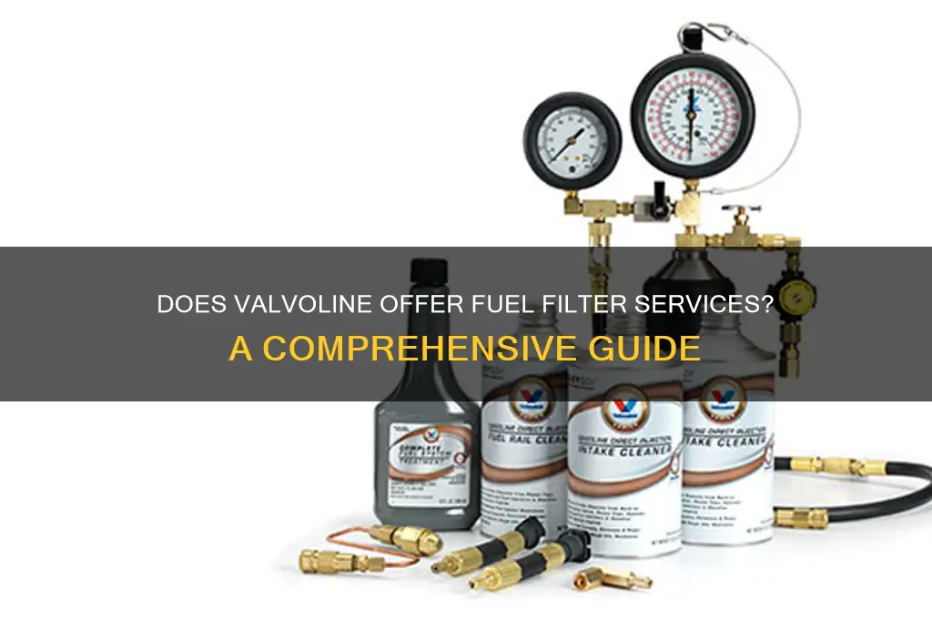 does valvoline do fuel filters