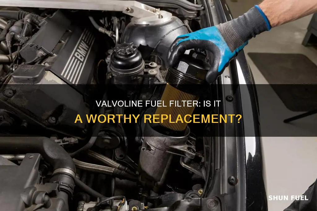 does valvoline replace fuel filters