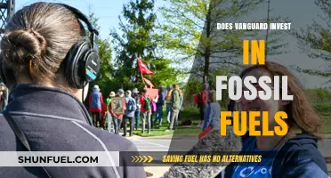 Vanguard's Fossil Fuel Investments: Ethical or Not?