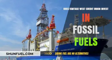 Vantage West Credit Union: Fossil Fuel Investments?