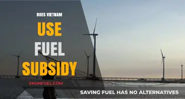 Does Vietnam Use Fuel Subsidies? Exploring Energy Policies and Impacts