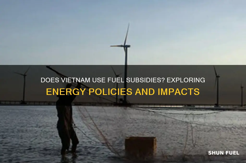 does vietnam use fuel subsidy