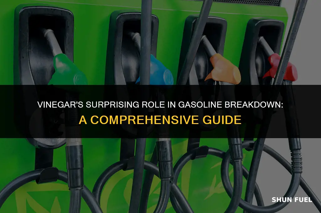 does vinegar break down gasoline