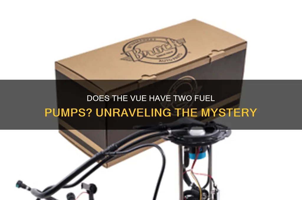 does vue have two fuel pumps