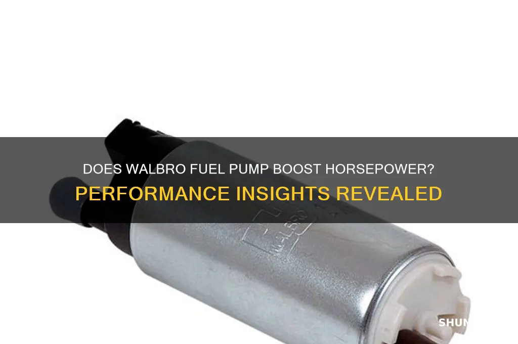 does walbro fuel pump increase horsepower