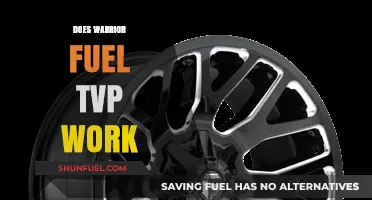 Does Warrior Fuel TVP Deliver Results? A Comprehensive Review