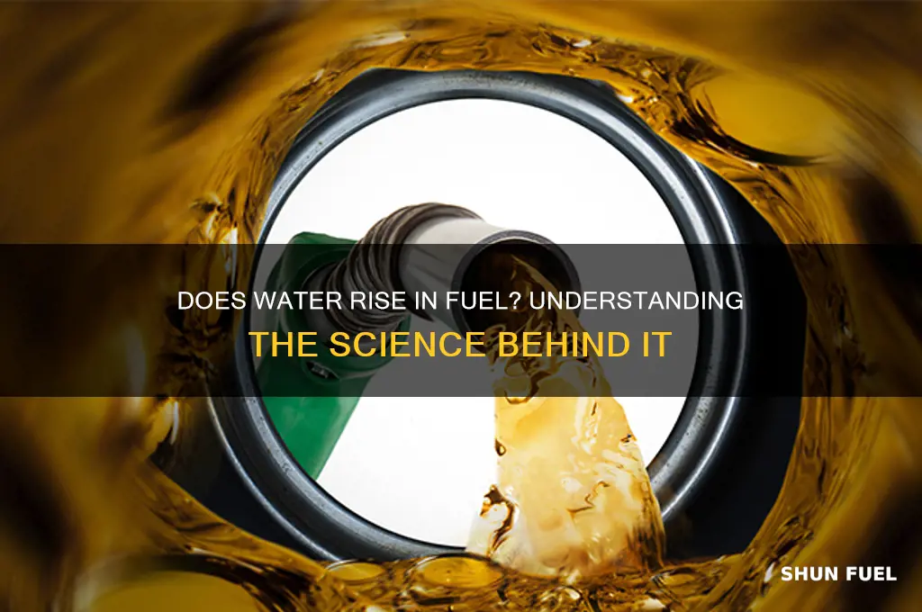does water rise in fuel
