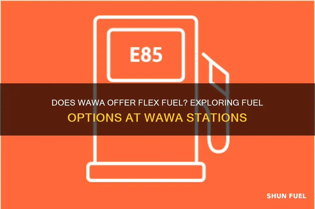 does wawa have flex fuel