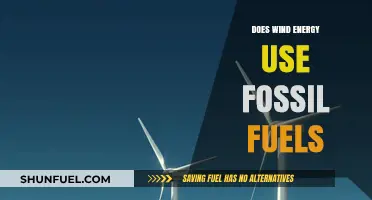 Wind Energy and Fossil Fuels: Any Connection?