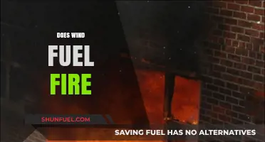 Does Wind Fuel Fire? Exploring the Complex Relationship Between Wind and Flames