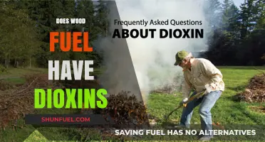 Wood Fuel and Dioxins: Uncovering the Environmental Impact and Risks