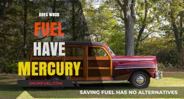 Wood Fuel and Mercury: Uncovering the Hidden Environmental Impact