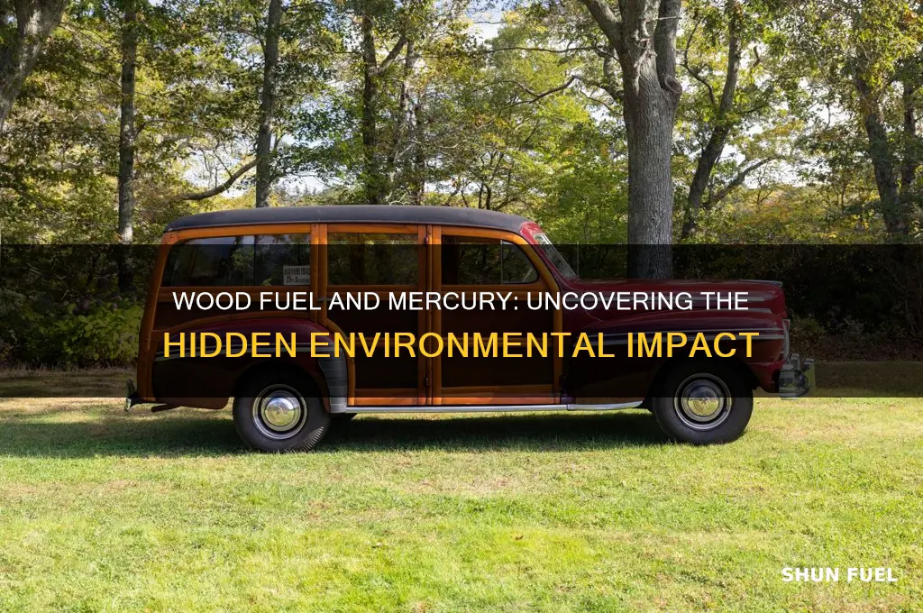 does wood fuel have mercury