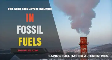 World Bank's Fossil Fuel Funding: A Necessary Evil?