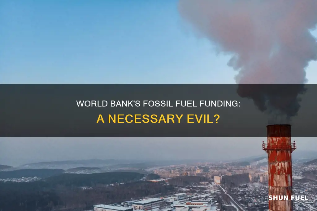 does world bank support investment in fossil fuels