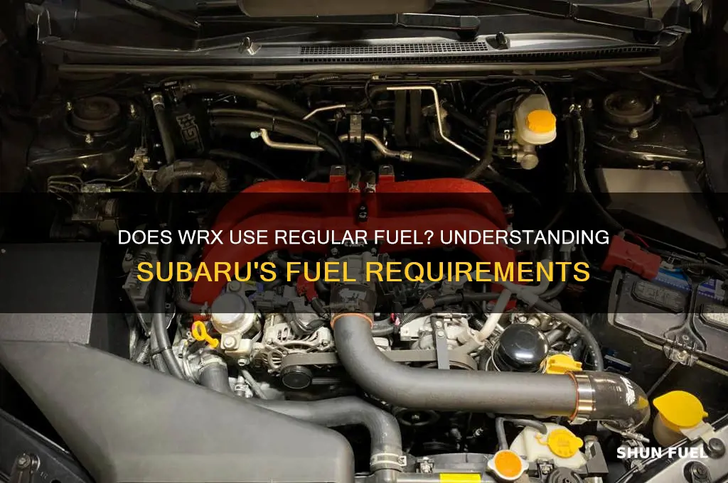 does wrx use regular fuel