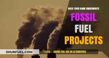 Fossil Fuel Funding: Banks and Their Dirty Secrets