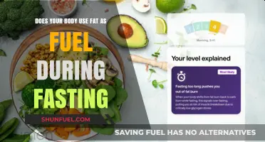 Fasting and Fat Burning: How Your Body Uses Stored Energy