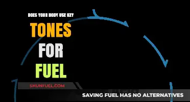 Ketones as Fuel: How Your Body Utilizes Alternative Energy Sources