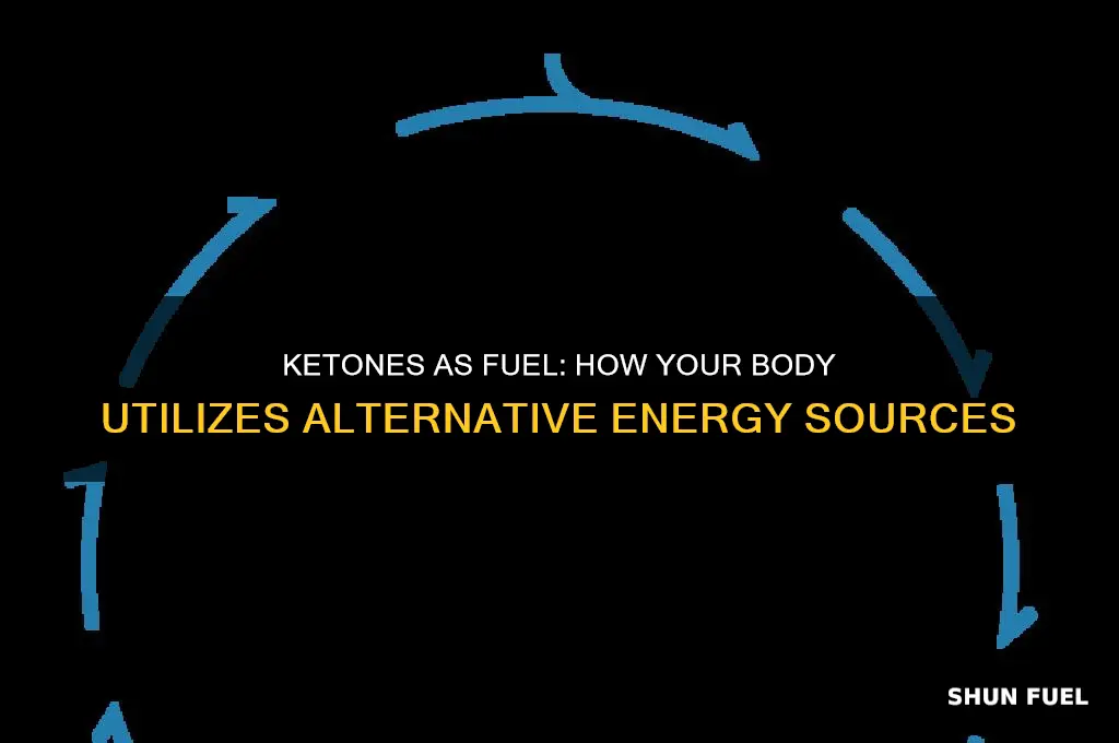 does your body use key tones for fuel