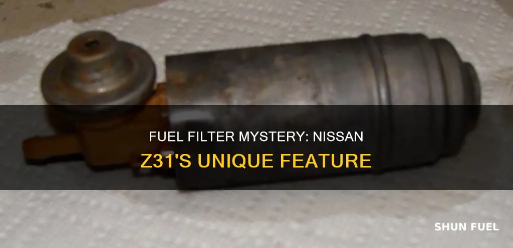 does z31 have fuel filter