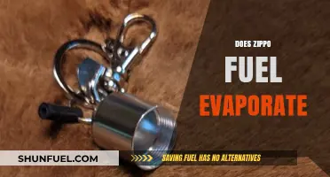 Does Zippo Fuel Evaporate? Understanding Lighter Fluid Longevity