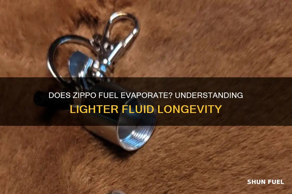 does zippo fuel evaporate