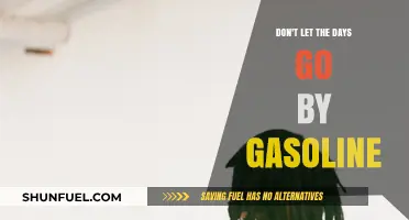 Fueling Your Dreams: Don't Let the Days Go By on Gasoline Alone