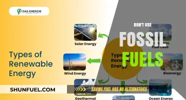 Green Future: No Fossil Fuels, Embrace Clean Energy