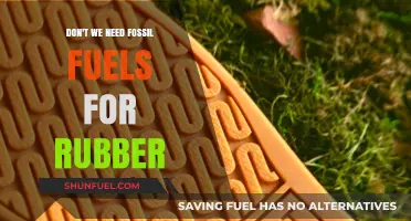 The Future of Rubber: Beyond Fossil Fuels