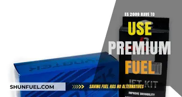 Does Your 2009 ES Require Premium Fuel? Find Out Now